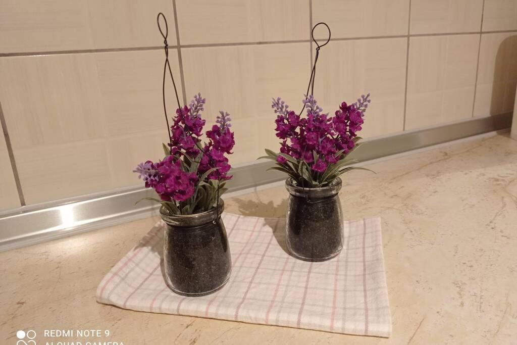 Kalimera Sun Afytos Apartment - Afytos Dış mekan fotoğraf